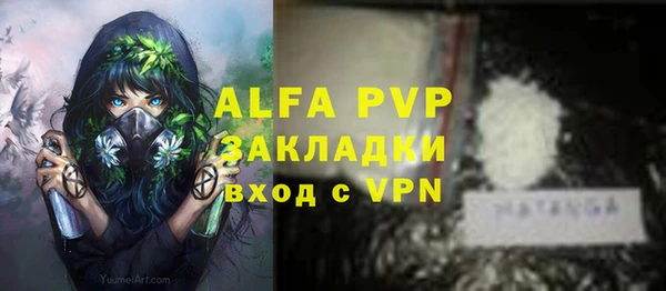 mdpv Богородицк