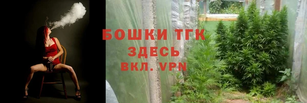 соль ск Богданович
