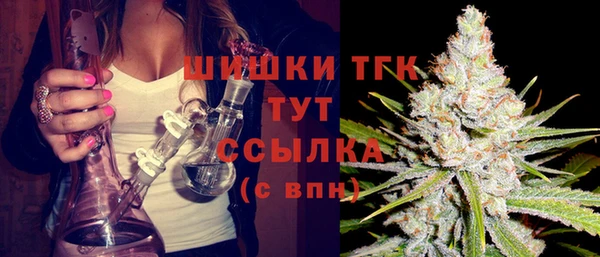 mdpv Богородицк
