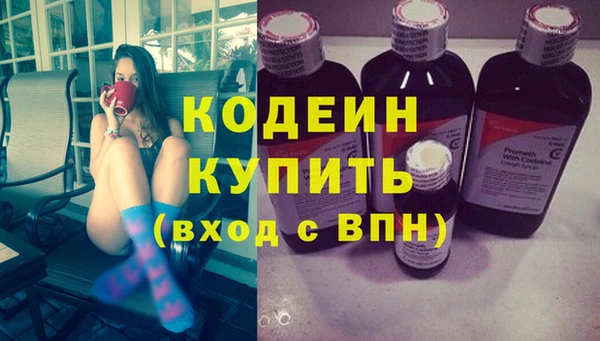 соль ск Богданович