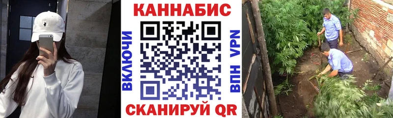 Конопля SATIVA & INDICA  Купить где  Бор 